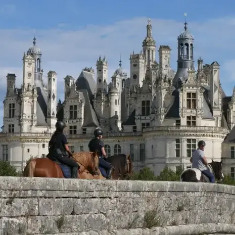 attelage de cheval Belforêt-en-Perche-1