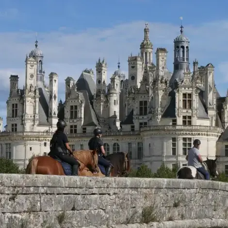 attelage de cheval à Bellême - image 4