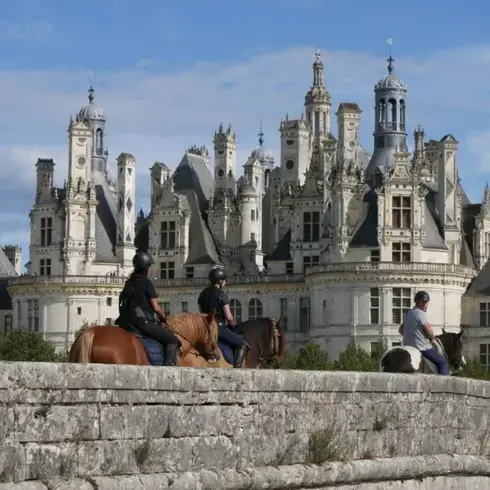 attelage de cheval à Le Mans - image 4