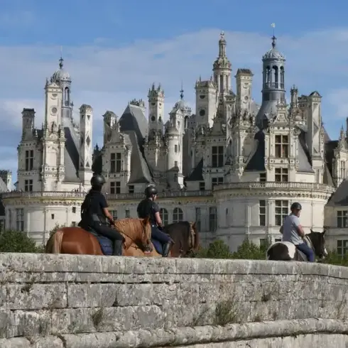 attelage de cheval Mamers-5