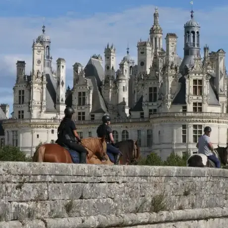 attelage de cheval à Nogent-le-Rotrou - image 4