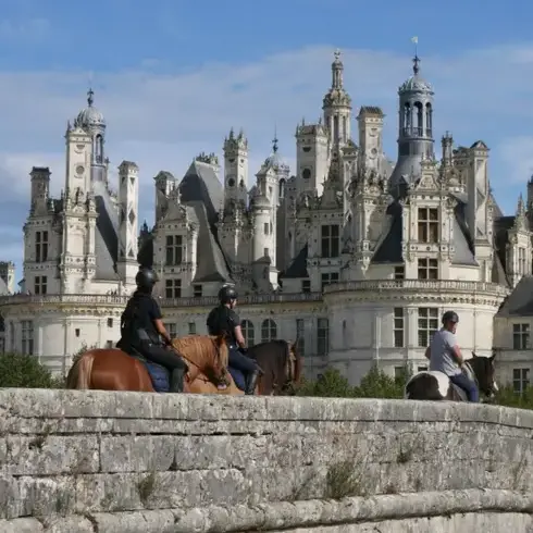 attelage de cheval à Val-au-Perche - image 4