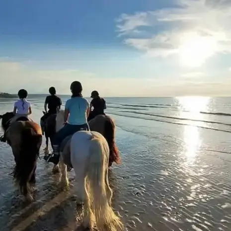 balade à cheval Alençon-1