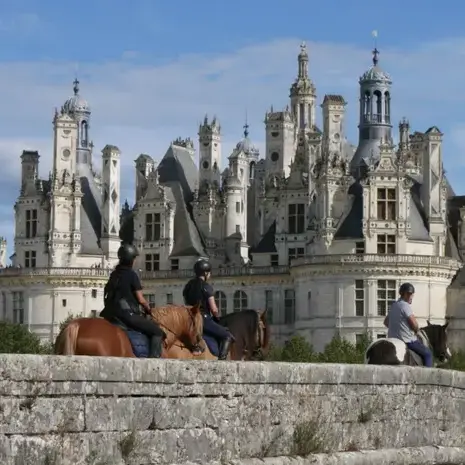 balade à cheval à Alençon - image 4