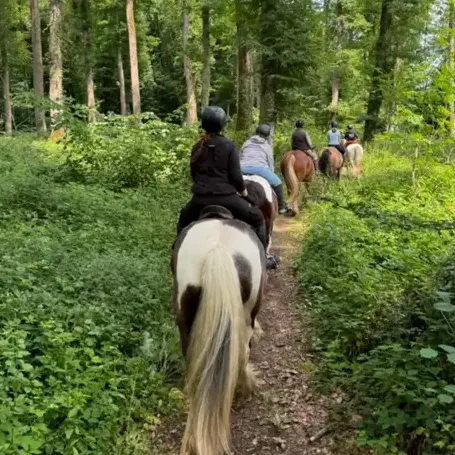 balade à cheval Alençon-5