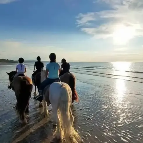 balade à cheval à Belforêt-en-Perche - image 2