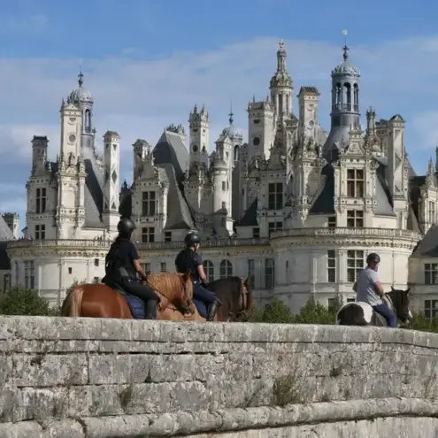 balade à cheval à Belforêt-en-Perche - image 3