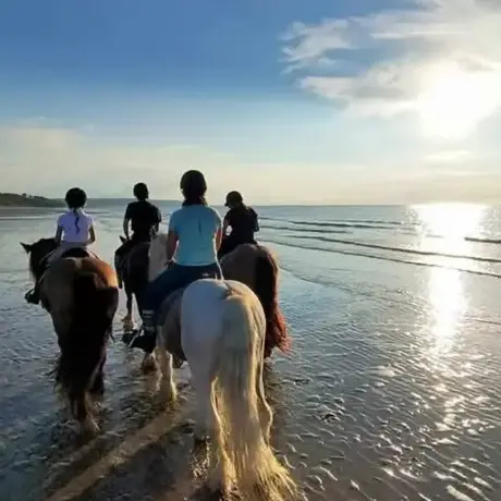 balade à cheval à Bellême - image 2