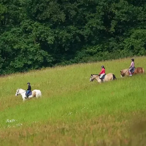 balade à cheval Le Mans-1