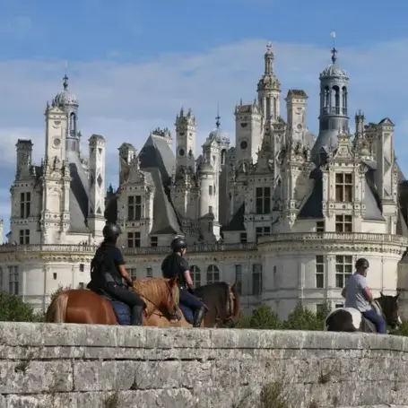balade à cheval à Le Mans - image 2
