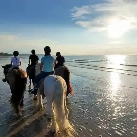 balade à cheval à Le Mans - image 3