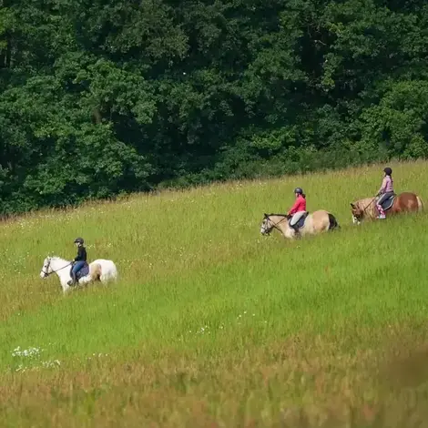 balade à cheval Nogent-le-Rotrou-1