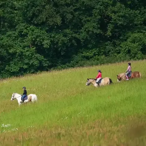 balade à cheval à Val-au-Perche - image 3