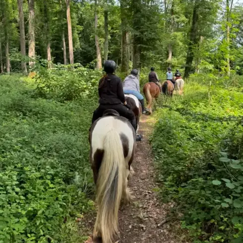 balade à cheval Val-au-Perche-5