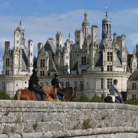 centre équestre Alençon-1