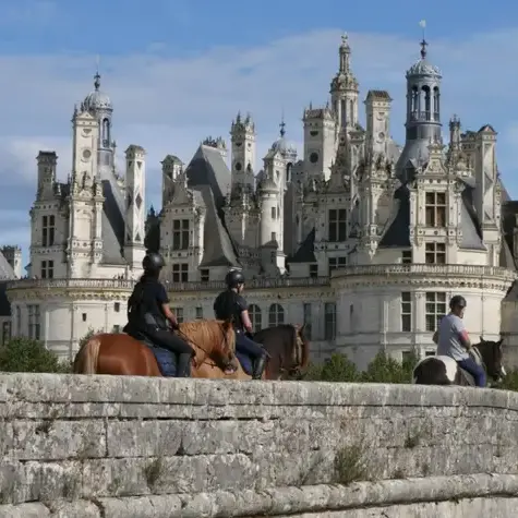 centre équestre à Bellême - image 3