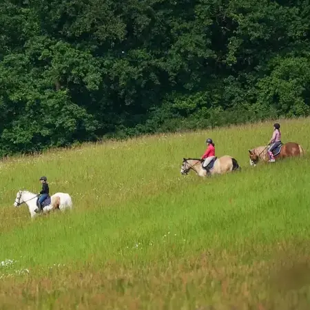 débourrage cheval Alençon-1