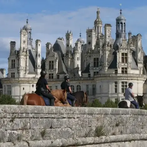 débourrage cheval à Alençon - image 2