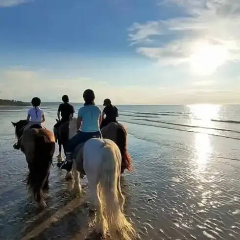 débourrage cheval à Alençon - image 3