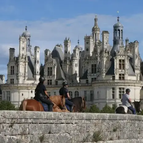 débourrage cheval à Belforêt-en-Perche - image 3