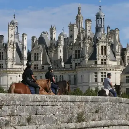 débourrage cheval à Bellême - image 4