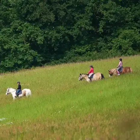 débourrage cheval Bellême-5