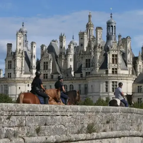 débourrage cheval à La Ferté-Bernard - image 2