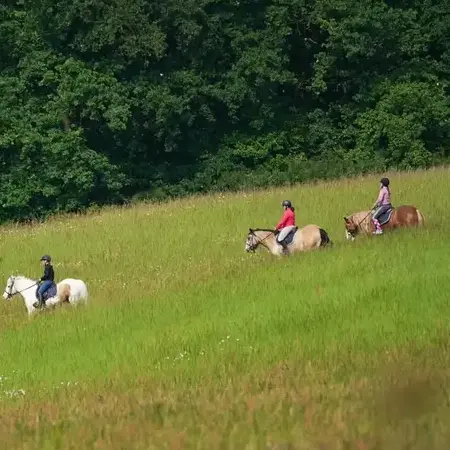 débourrage cheval à La Ferté-Bernard - image 3