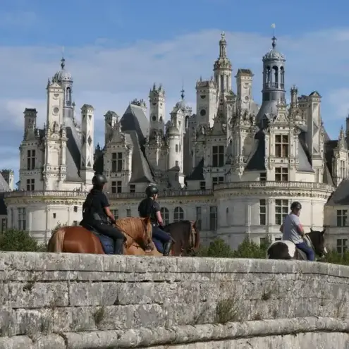 débourrage cheval à Le Mans - image 2