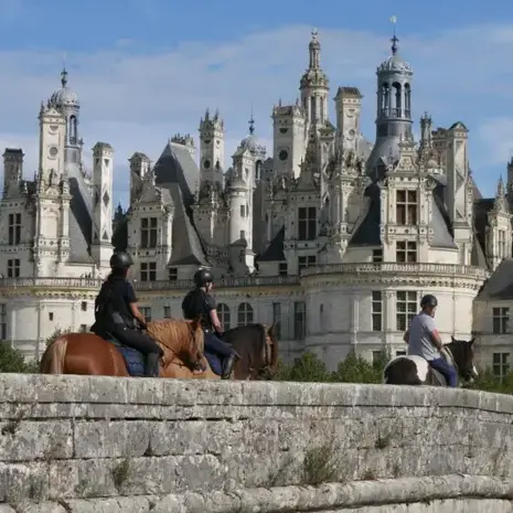 débourrage cheval à Mamers - image 4