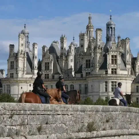 débourrage cheval Nogent-le-Rotrou-5