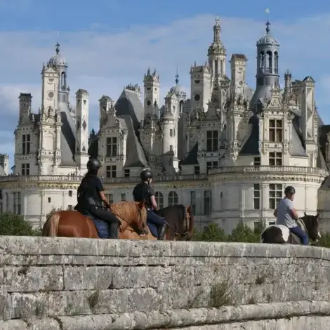 débourrage cheval Val-au-Perche-1