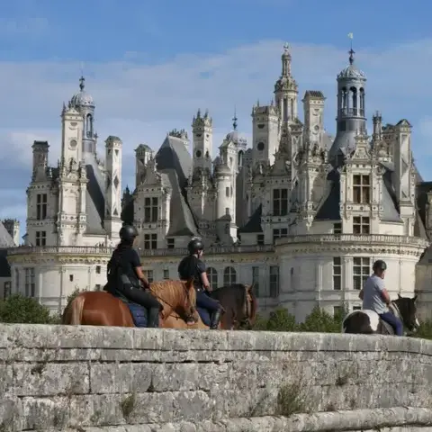 randonnée à cheval à Alençon - image 2