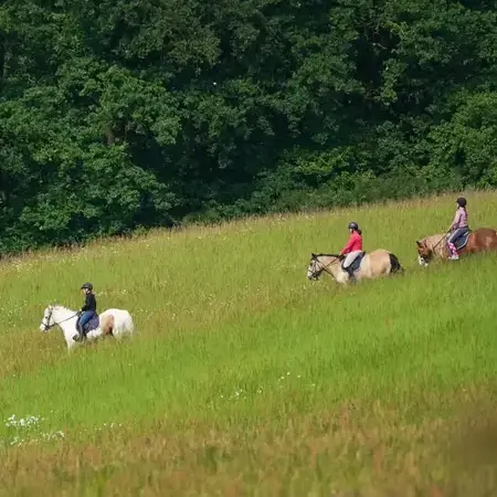 randonnée à cheval à Alençon - image 3