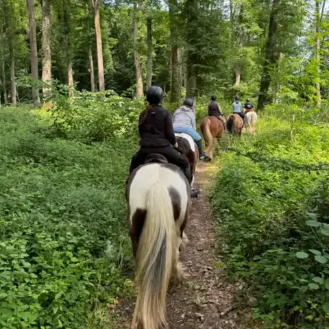 randonnée à cheval Alençon-5