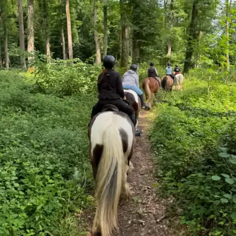 randonnée à cheval Belforêt-en-Perche-5