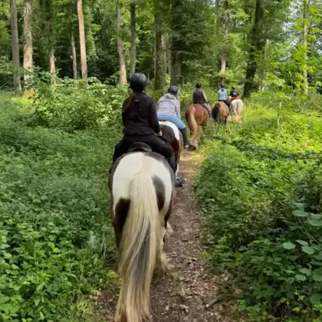 randonnée à cheval Bellême-1