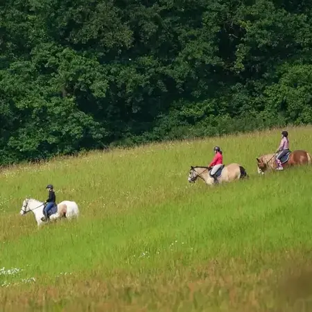 randonnée à cheval à Bellême - image 3