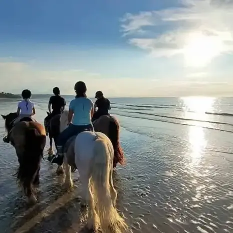 randonnée à cheval à Bellême - image 4