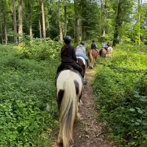 randonnée à cheval à La Ferté-Bernard - image 3