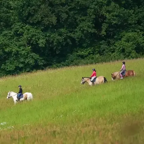 randonnée à cheval à Le Mans - image 2
