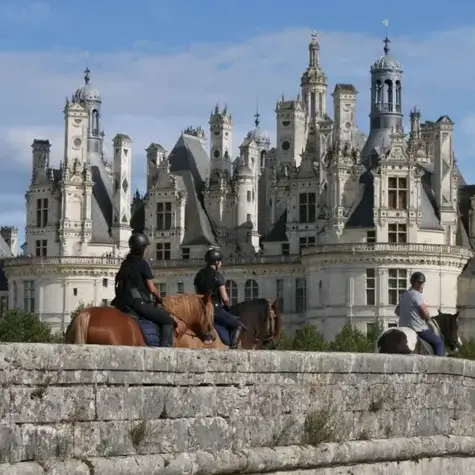 randonnée à cheval à Mamers - image 2