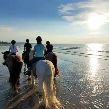 randonnée à cheval à Mamers - image 4