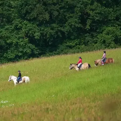 randonnée à cheval Mamers-5