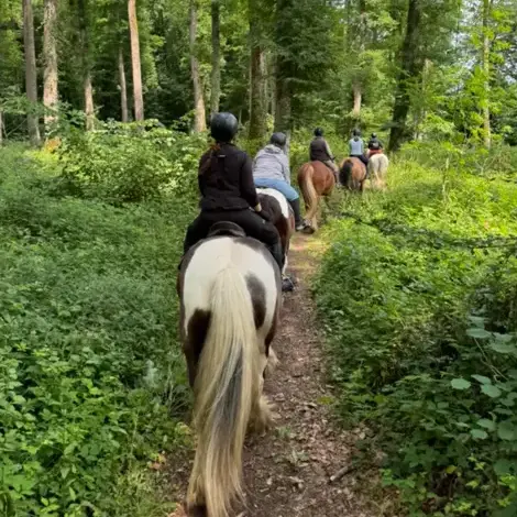 randonnée à cheval Nogent-le-Rotrou-1