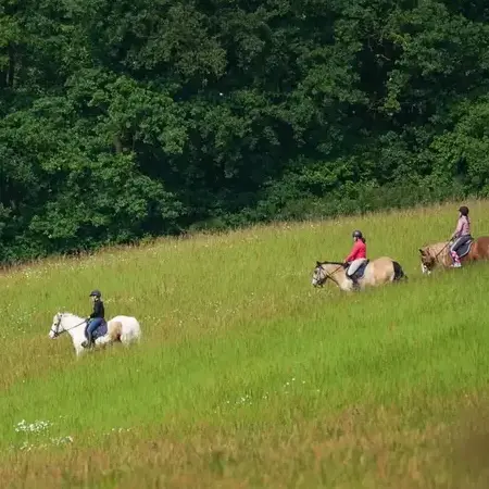 randonnée à cheval à Nogent-le-Rotrou - image 3