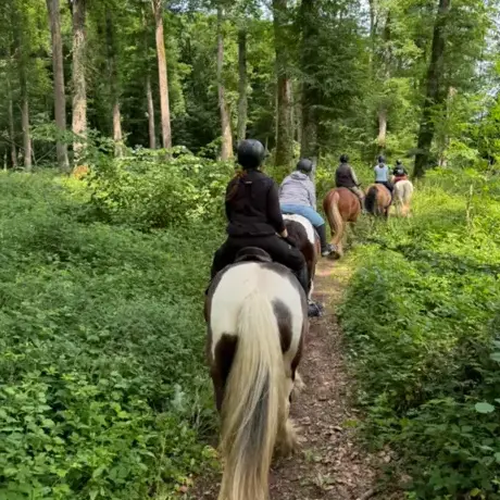 randonnée à cheval à Val-au-Perche - image 2