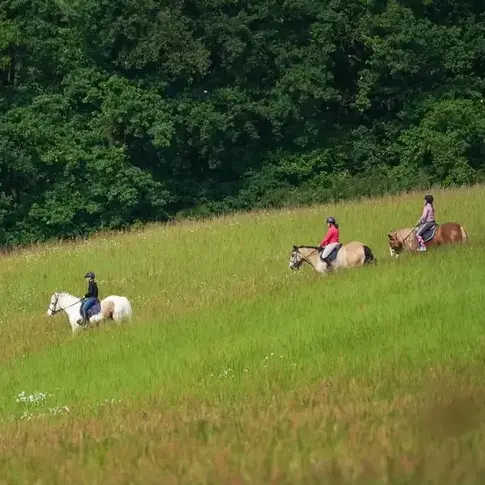 randonnée à cheval à Val-au-Perche - image 3